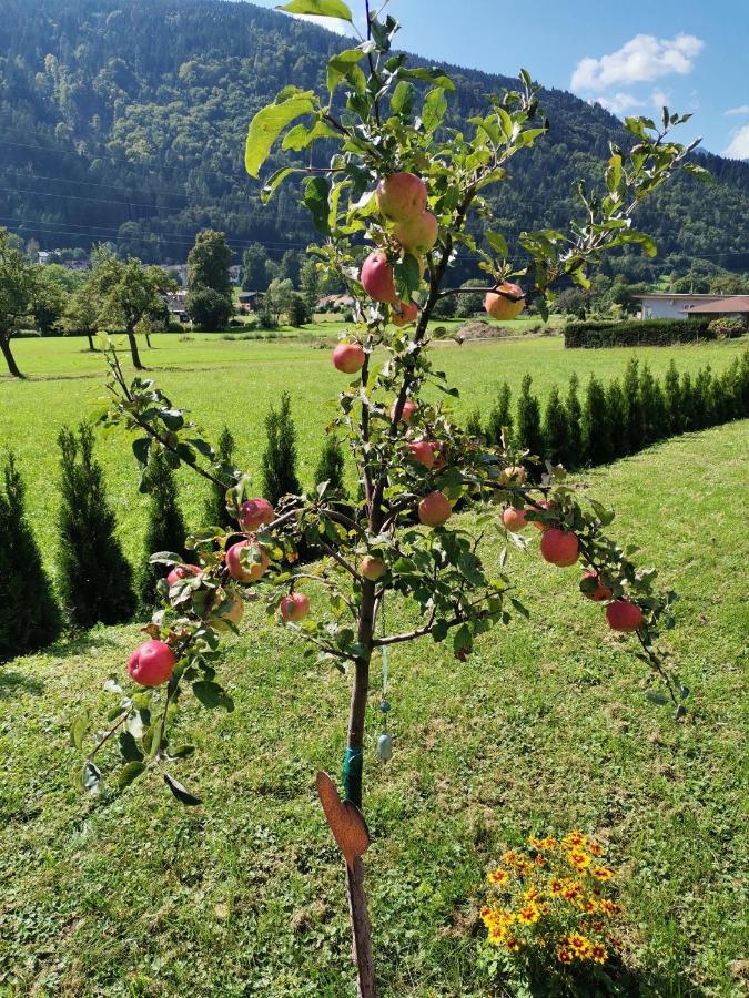 Apartment - Ferienwohnung 2 Treffen Am Ossiachersee المظهر الخارجي الصورة